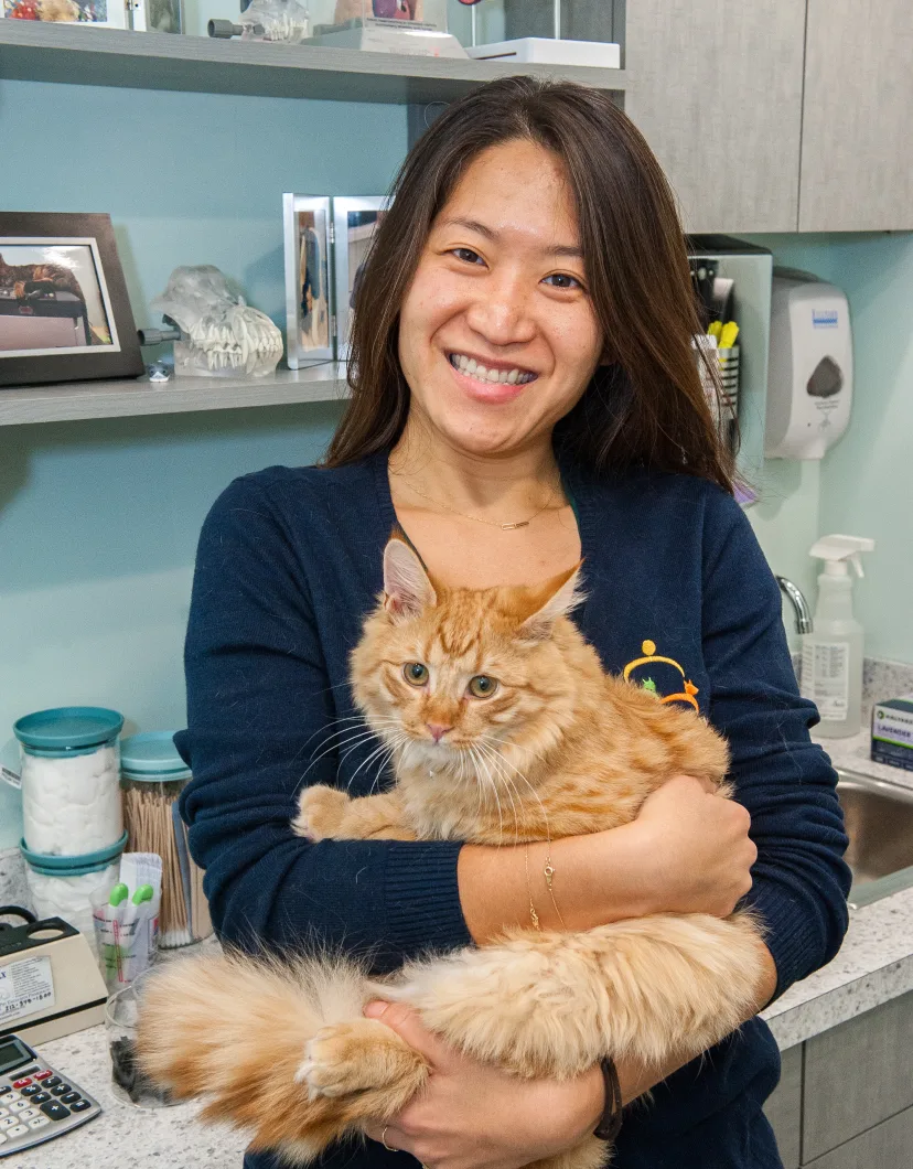 Terry Li with cat at Battery Park Veterinary Hospital